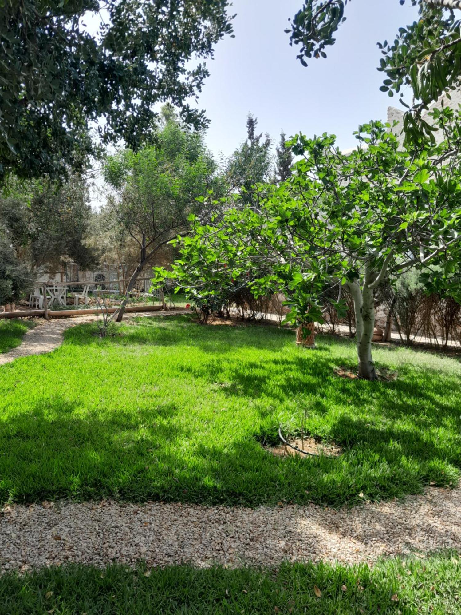 Riad Sanam Essaouira Exterior foto