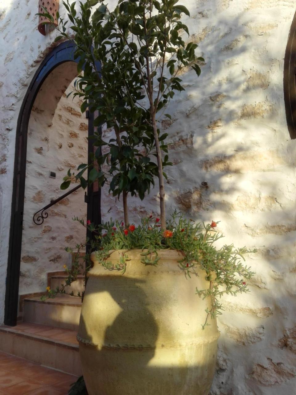 Hotel Riad Sanam Essaouira Exterior foto